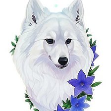 Схема вышивки «волк»