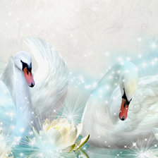 Схема вышивки «лебеди нежные»