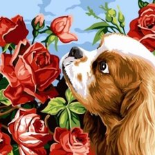 Схема вышивки «Щенок и розы»