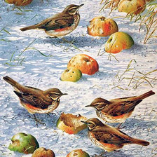 Схема вышивки «птицы»