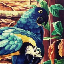 Схема вышивки «Попугаи»