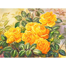 Схема вышивки «Серия "Розы".»