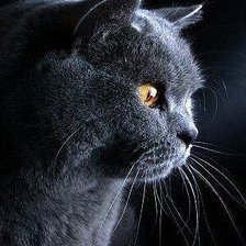 Схема вышивки «306»