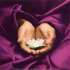 цветок жизни