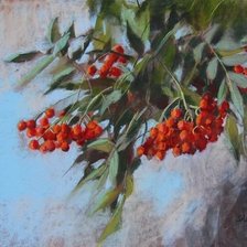 Рябина пастель