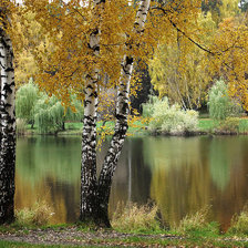 Схема вышивки «Осенний парк»