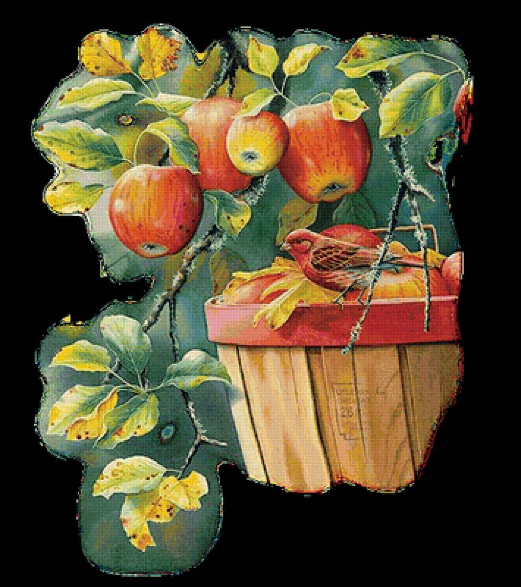 яблочки - предпросмотр