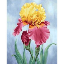 Схема вышивки «Ирис»