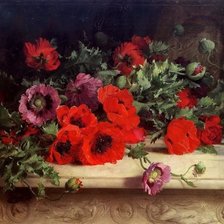 Схема вышивки «маки»