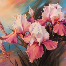 Схема вышивки «розовые ирисы»