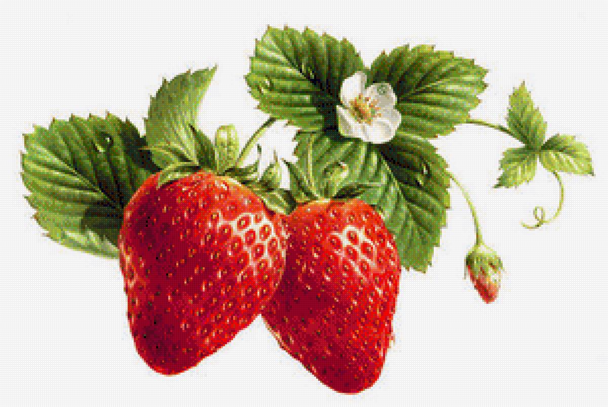 НАТЮРМОРТ С КЛУБНИКОЙ - натюрморт с клубникой - предпросмотр