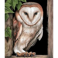 Схема вышивки «Совушка»