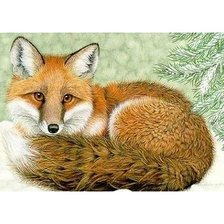 Схема вышивки «Лиса»