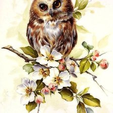 Схема вышивки «№1714521»