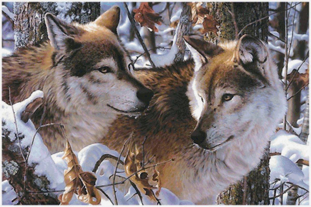 волки - предпросмотр