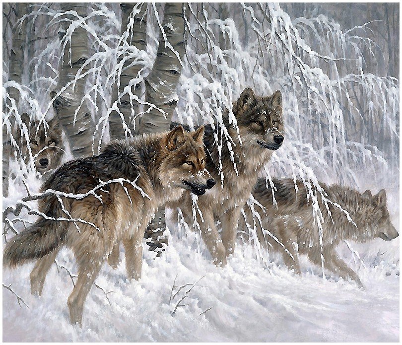 волки - оригинал