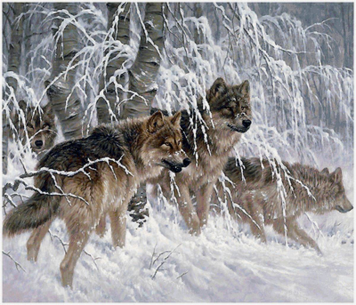 волки - предпросмотр