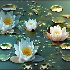 Схема вышивки «WATERLILLY»