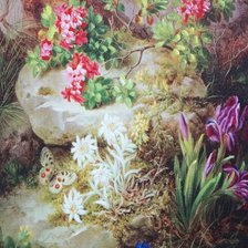 Схема вышивки «73459»