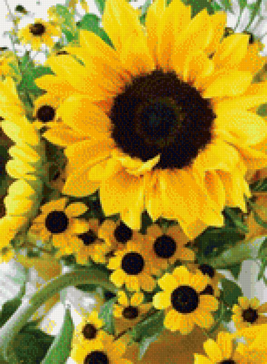 подсолнух - подсолнух, цветы - предпросмотр