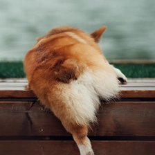 Схема вышивки «Corgi butt»