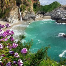 райский уголок