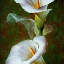 Схема вышивки «№1715888»