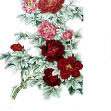 Схема вышивки «Пионы»