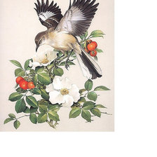 Схема вышивки «№1716560»