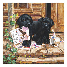 Схема вышивки «№1716564»