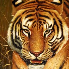 Схема вышивки «№1716807»