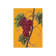 Схема вышивки «Виноград»