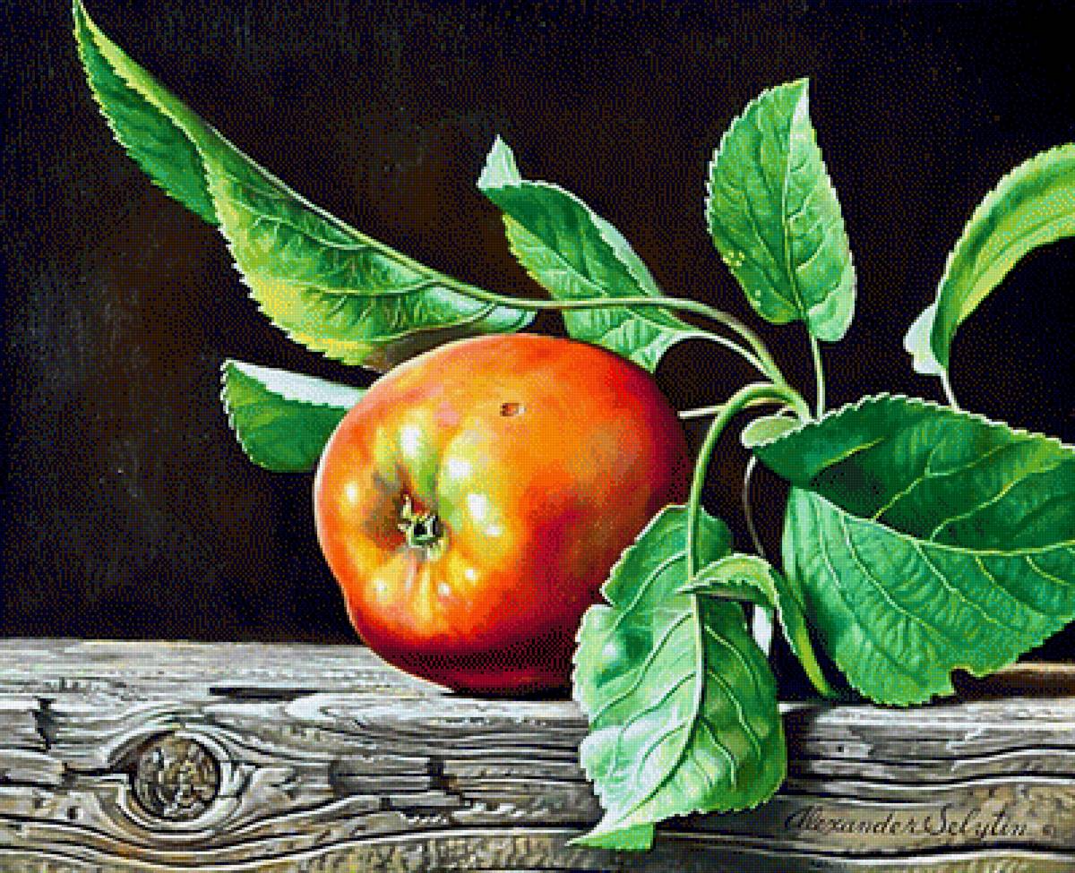 Яблоки. - предпросмотр