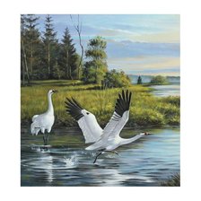 Схема вышивки «Журавли»