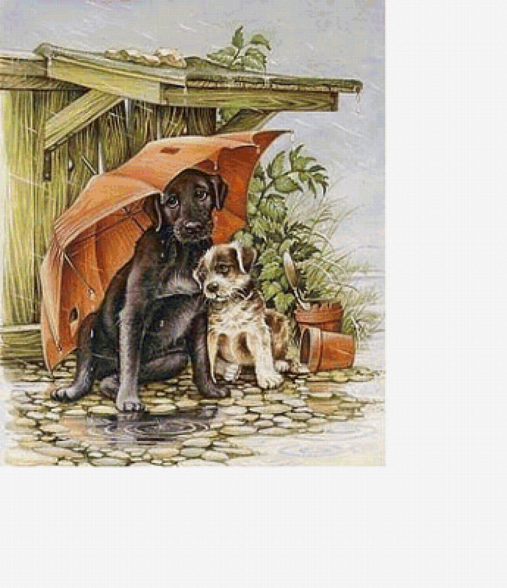 №1717373 - предпросмотр