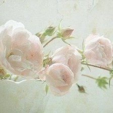 Схема вышивки «прелесть»