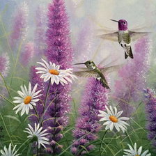 Схема вышивки «летний луг»