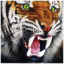 Схема вышивки «тигра»