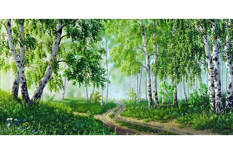 Березовая роща - березы, пейзаж, тропинка - оригинал