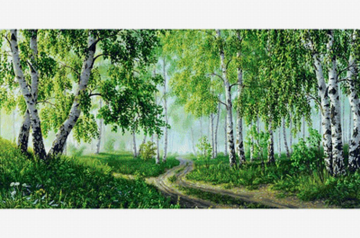 Березовая роща - тропинка, березы, пейзаж - предпросмотр