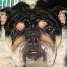 Схема вышивки «Доако»