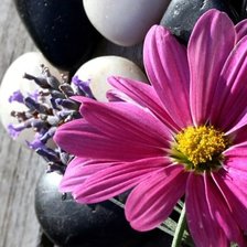 Схема вышивки «№1717767»