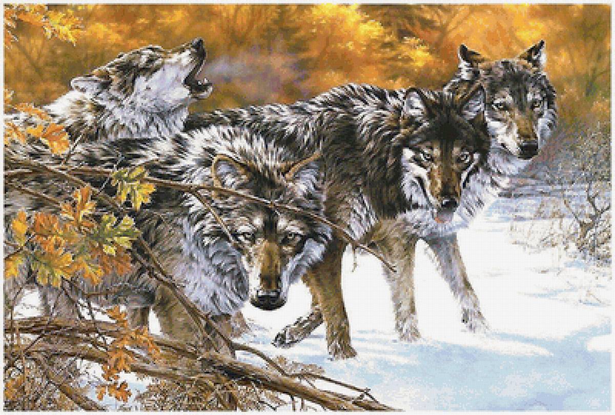 волки - предпросмотр