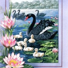 Схема вышивки «лебединая семья»