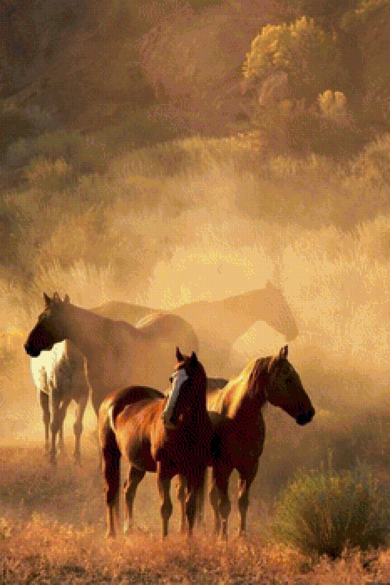 Кони - кони, лошади - предпросмотр