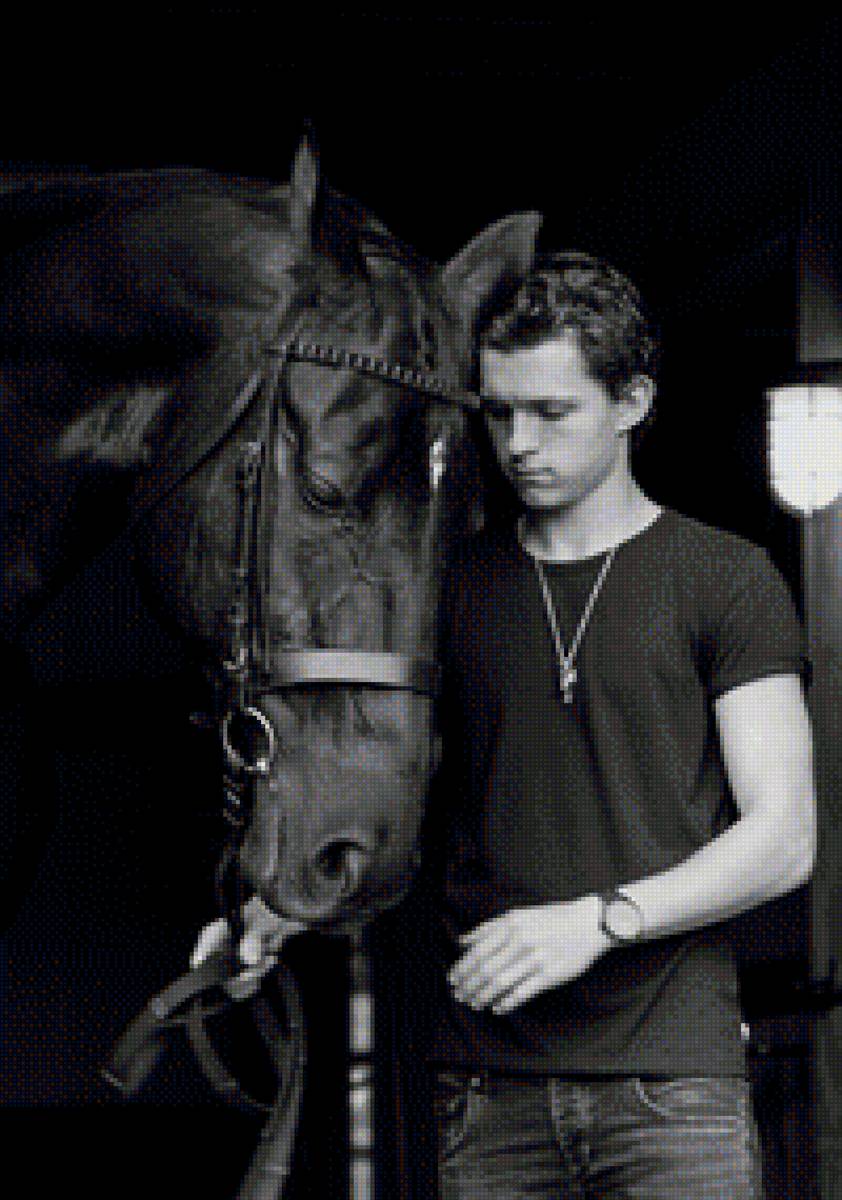 Том Холланд - лошадь - предпросмотр