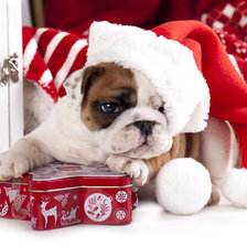 Схема вышивки «№1718598»