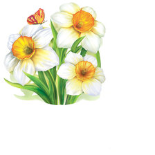 Схема вышивки «Серия "Нарциссы"»