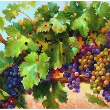 Схема вышивки «виноград»