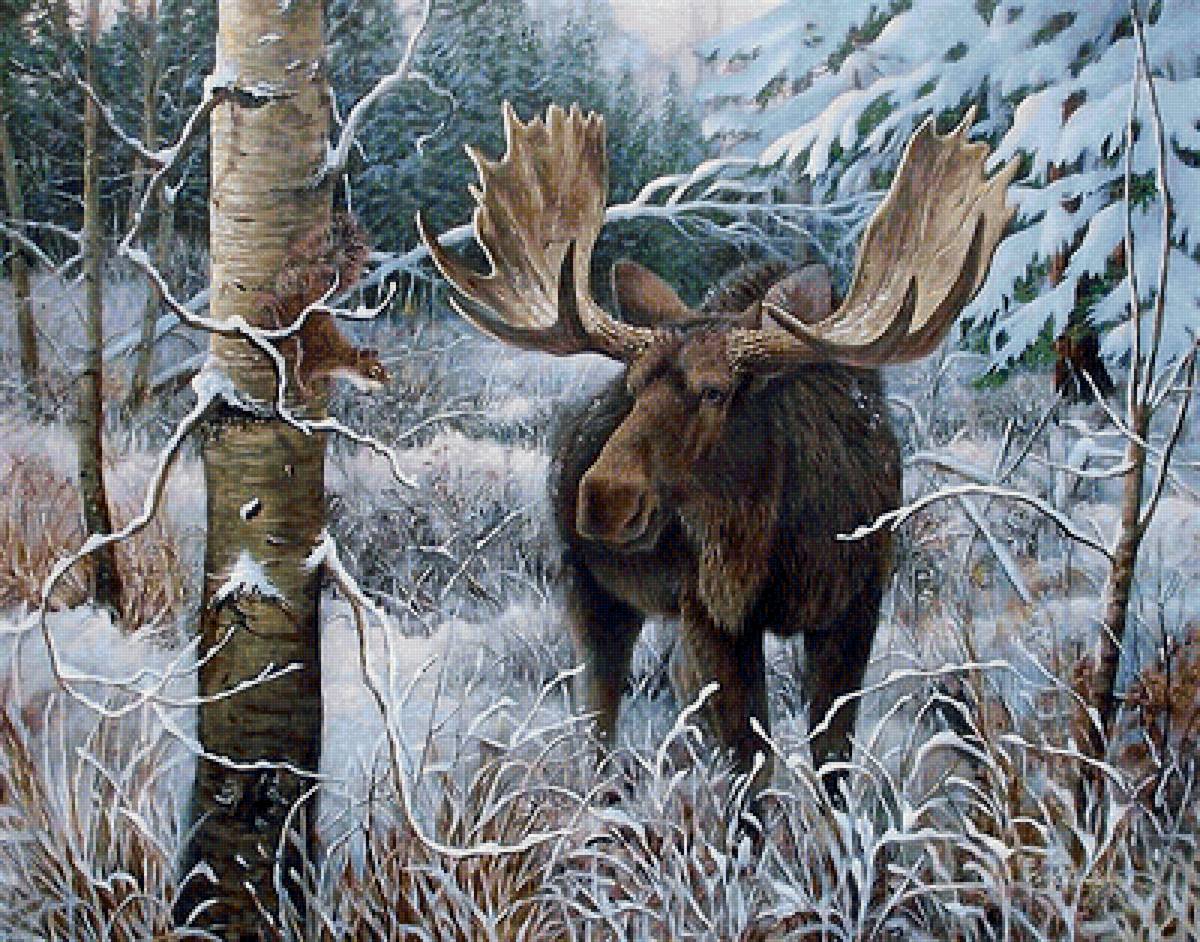 лось и белка - предпросмотр